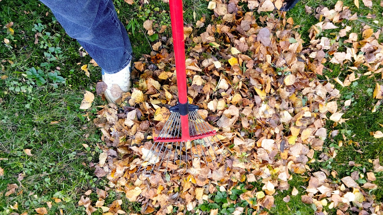 10 zásadních úkolů podzimního úklidu